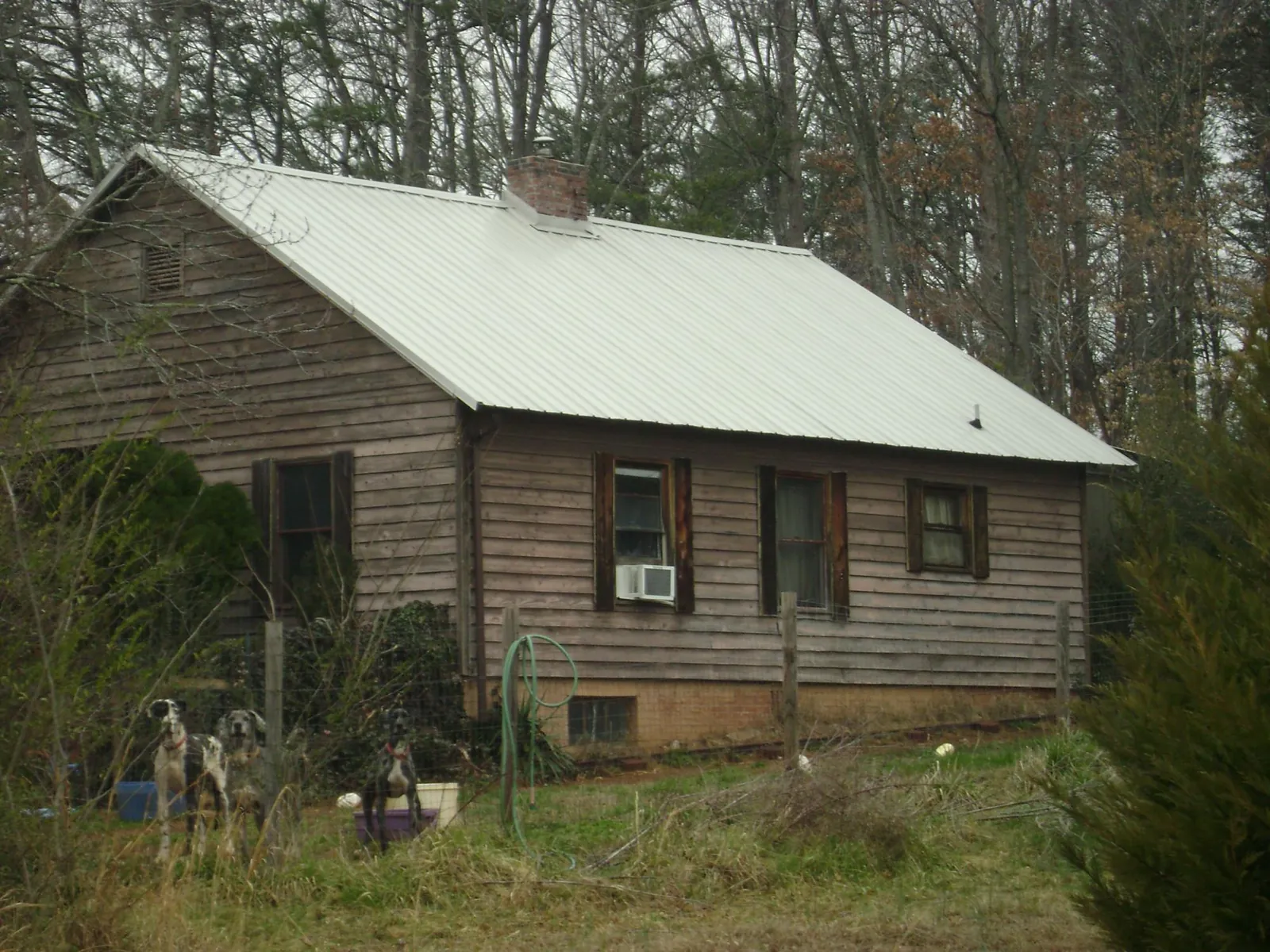 White metal roof on an old wood sided farmhouse, from a Asphalt Shingle Roof Repair job in Mc Farlan